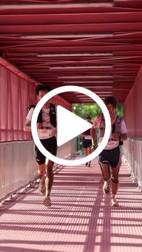 BIB:  <button type="button" onclick="openModal(27240309)" class="btn btn-primary btn-sm float-right" data-toggle="modal" data-target=".modal-high-quality">
                <i class="fa fa-download"></i> Download
                </button>